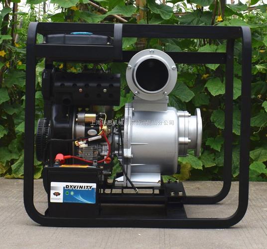 6寸豪华款自吸抽水泵建筑工程抽水机电启动