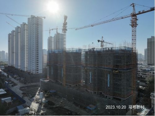 保障房工程进度 万里桥小区 河景花园 卧龙湾 桃李苑 西陈营孜 晋鸿里 兴福园 马号新村等