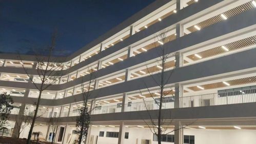 总投资4.2亿元 丽水一所新学校建成,今年9月投入使用