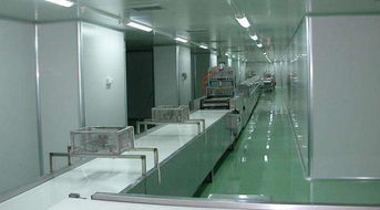 鹤山市共和镇喜洋洋食品厂加盟