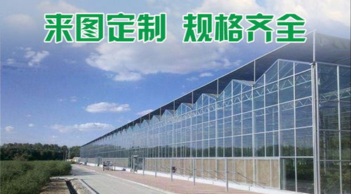 千宏温室工程 图 蔬菜温室大棚厂家 蔬菜温室大棚