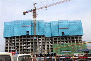 专业出租销售施工建筑爬架的厂家