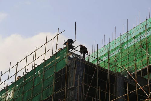 嘉泽 阳光天地丨辛苦了,建筑工人们 内附最新工程进度